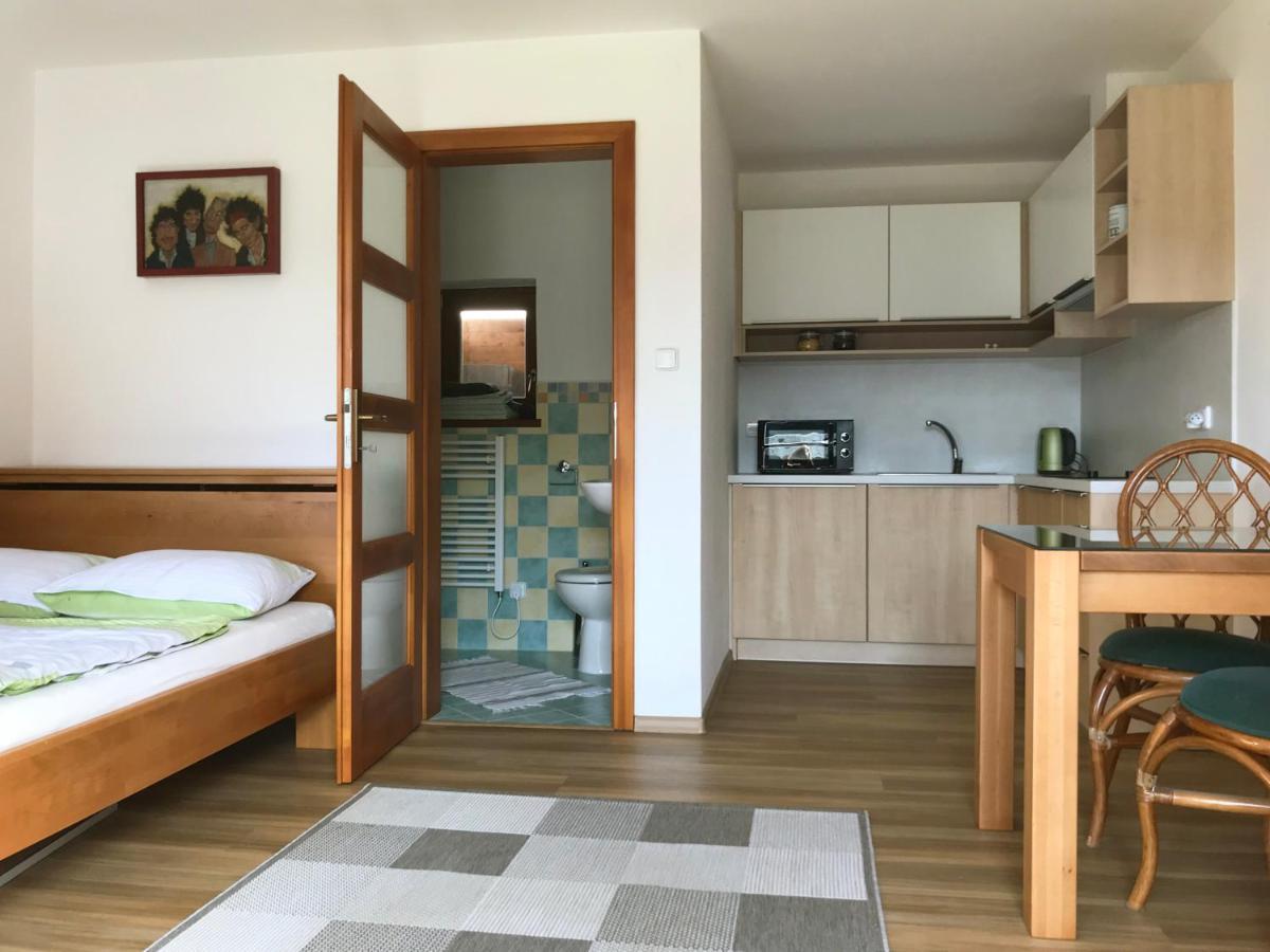 Apartmán HOSÍN Appartamento Hluboká nad Vltavou Esterno foto